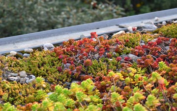 the cost of Totterton green roof installation