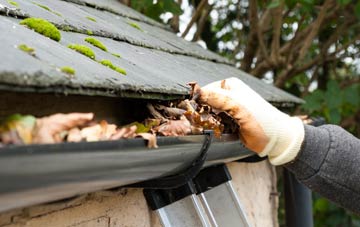 gutter cleaning Totterton, Shropshire