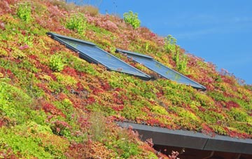 Totterton living roof systems