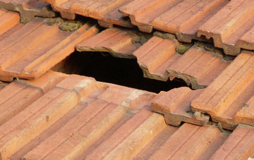 roof repair Totterton, Shropshire