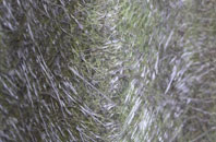 Totterton fibreglass roof work